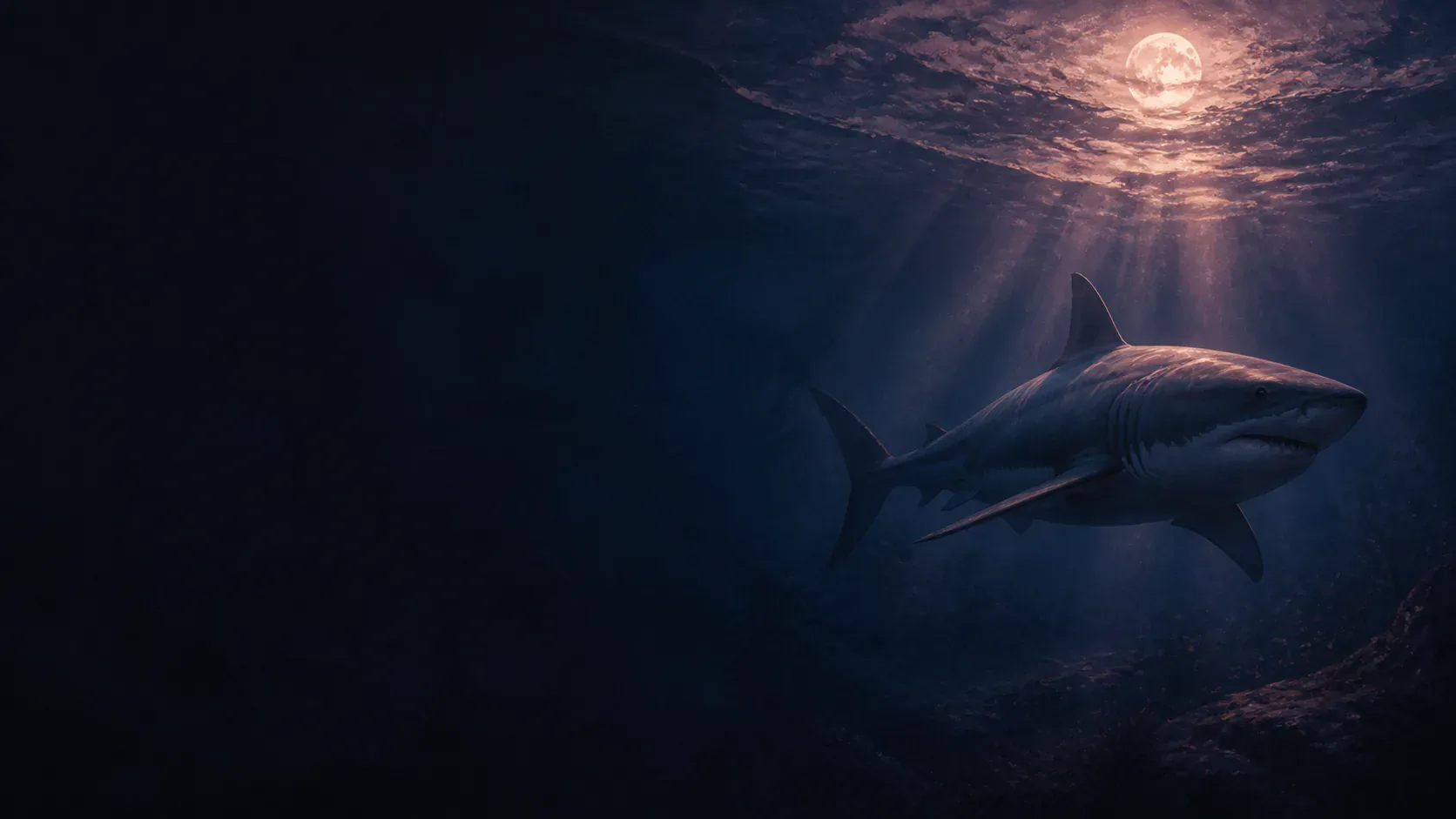 A shark moving through copper-lit water beneath a mythic indigo sea